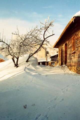 Дома для отпуска Holiday Home Jura dla Ciebie Cisowa-1